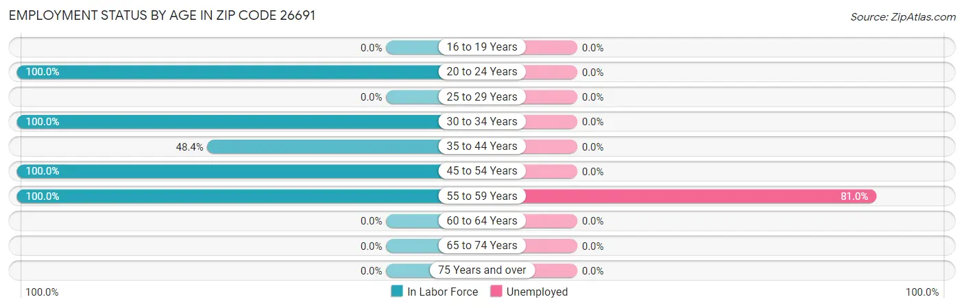 Employment Status by Age in Zip Code 26691