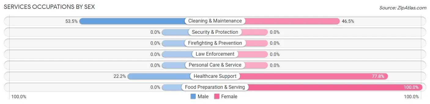 Services Occupations by Sex in Zip Code 26710