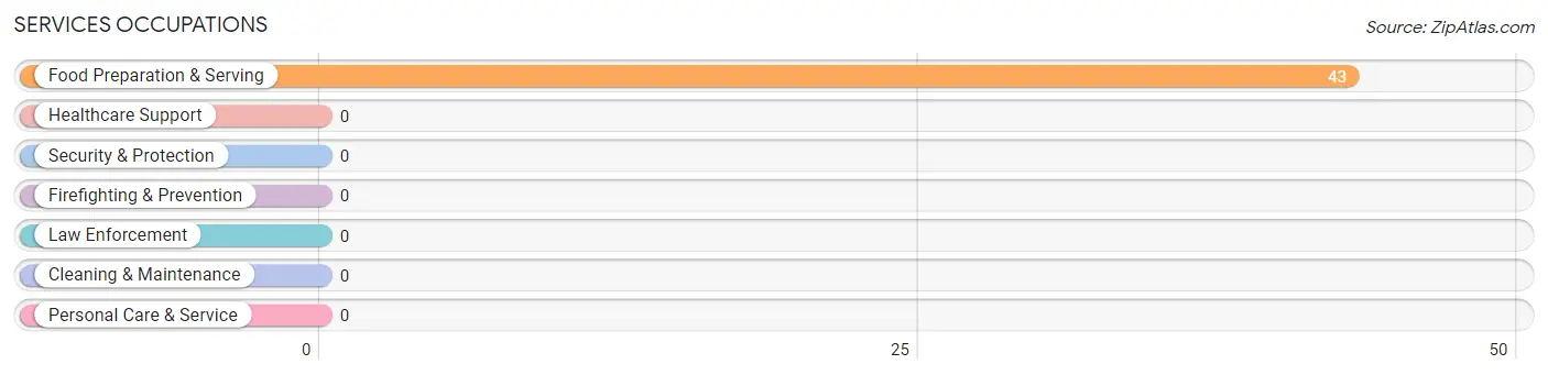 Services Occupations in Zip Code 26731