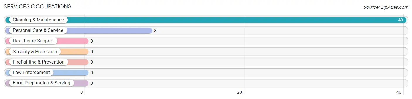 Services Occupations in Zip Code 26739