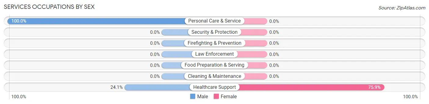 Services Occupations by Sex in Zip Code 26743