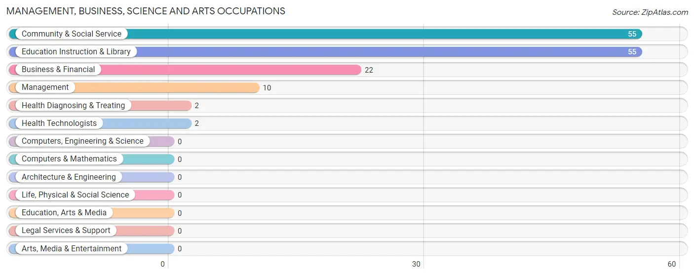 Management, Business, Science and Arts Occupations in Zip Code 26763