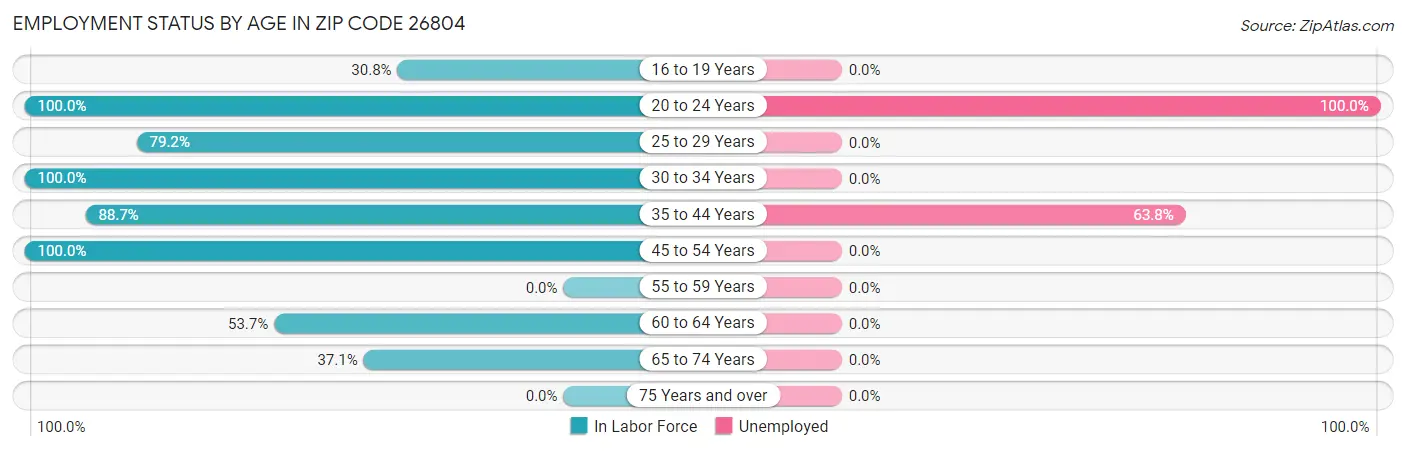 Employment Status by Age in Zip Code 26804