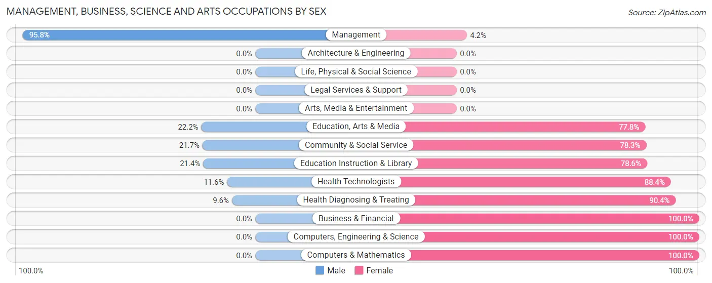 Management, Business, Science and Arts Occupations by Sex in Zip Code 26807