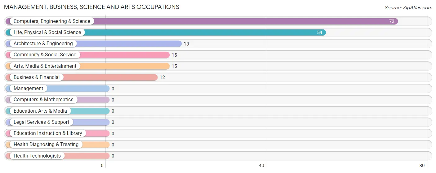 Management, Business, Science and Arts Occupations in Zip Code 26810