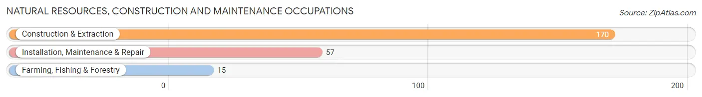 Natural Resources, Construction and Maintenance Occupations in Zip Code 26833