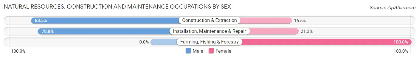 Natural Resources, Construction and Maintenance Occupations by Sex in Zip Code 26836