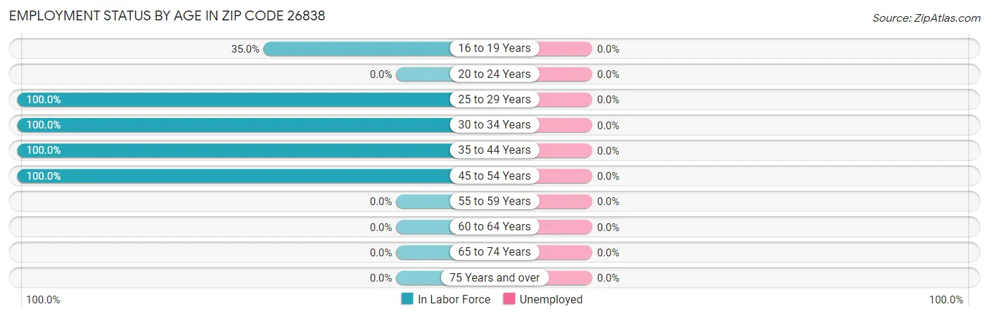 Employment Status by Age in Zip Code 26838