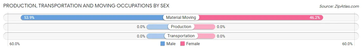 Production, Transportation and Moving Occupations by Sex in Zip Code 26838