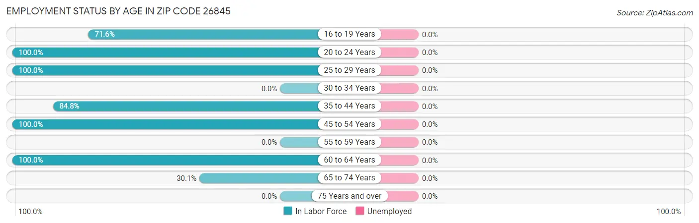 Employment Status by Age in Zip Code 26845