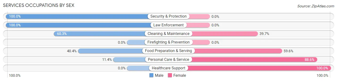 Services Occupations by Sex in Zip Code 26847