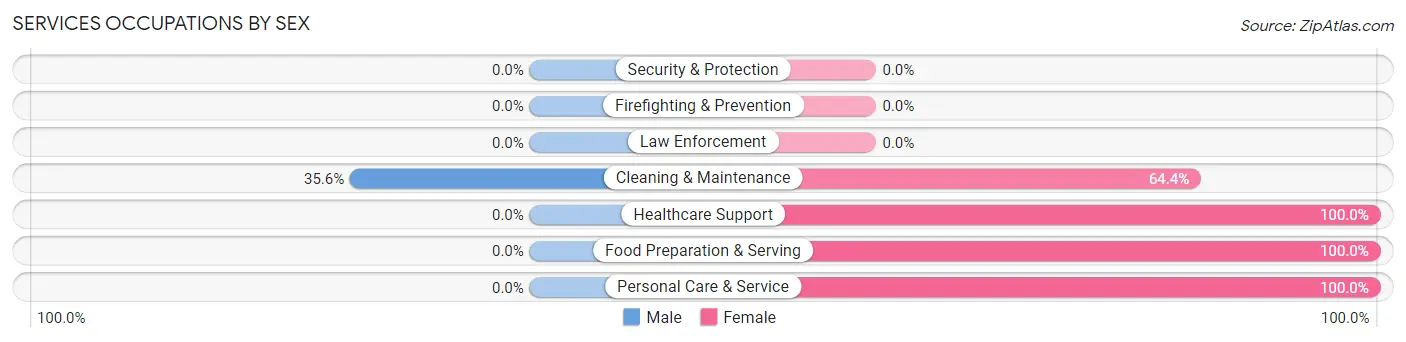 Services Occupations by Sex in Zip Code 26851