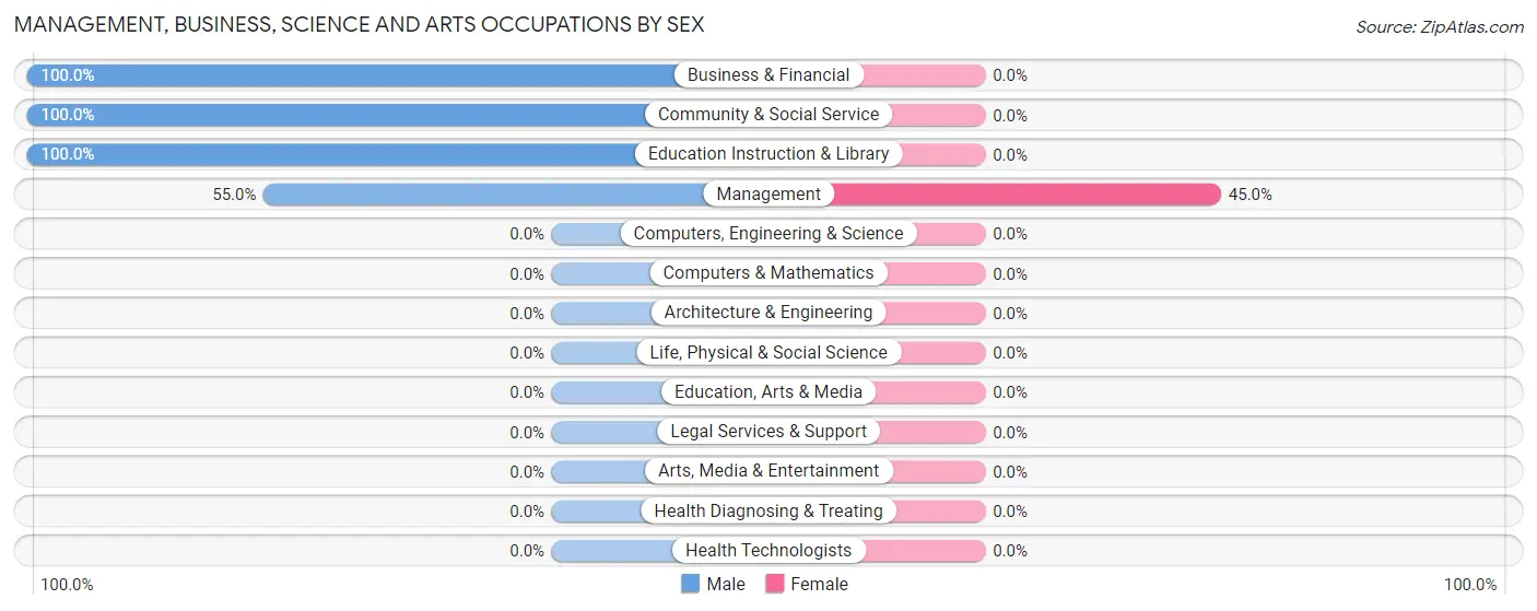 Management, Business, Science and Arts Occupations by Sex in Zip Code 26852