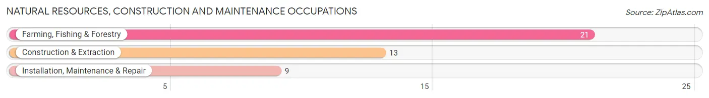 Natural Resources, Construction and Maintenance Occupations in Zip Code 26852