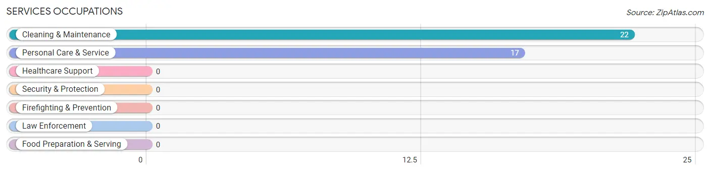 Services Occupations in Zip Code 26852