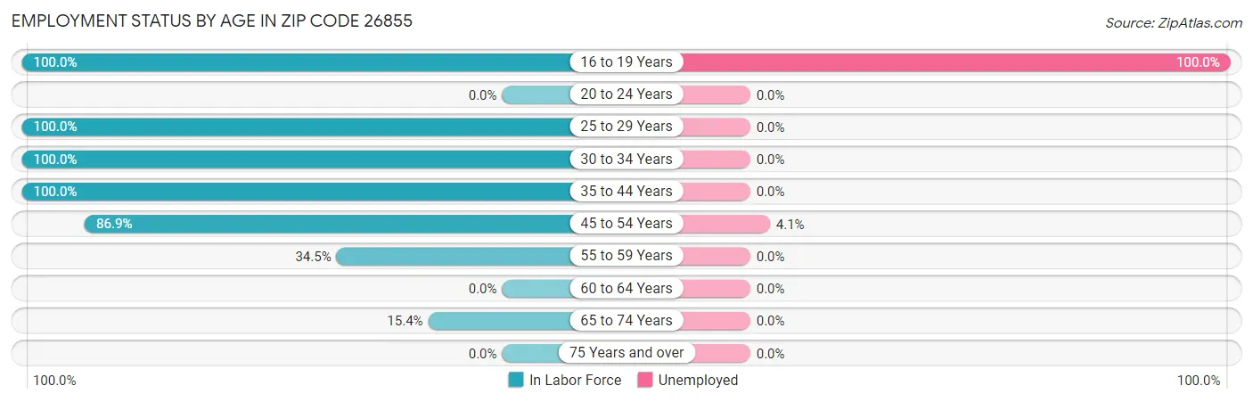 Employment Status by Age in Zip Code 26855