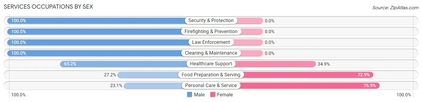 Services Occupations by Sex in Zip Code 27009