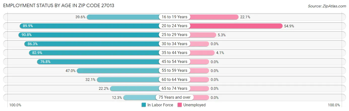 Employment Status by Age in Zip Code 27013
