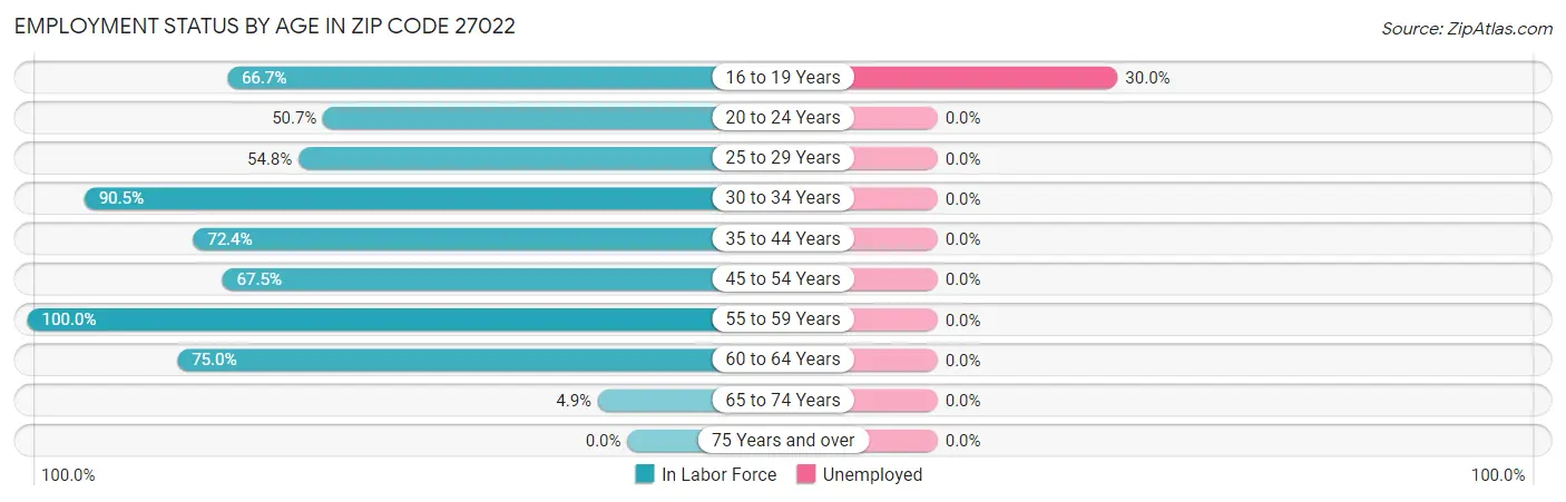 Employment Status by Age in Zip Code 27022