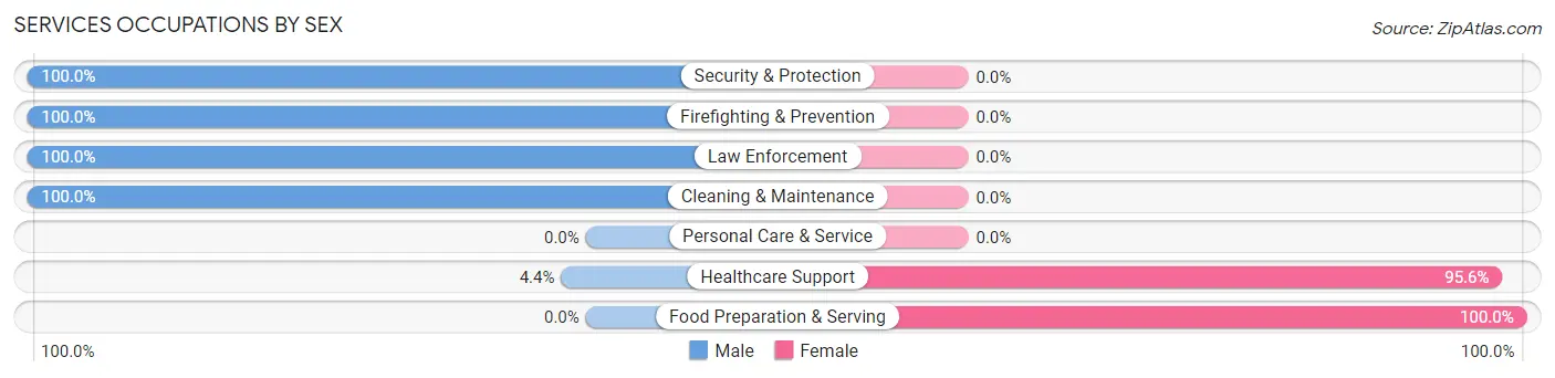 Services Occupations by Sex in Zip Code 27024