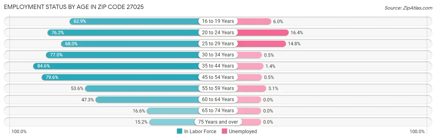Employment Status by Age in Zip Code 27025