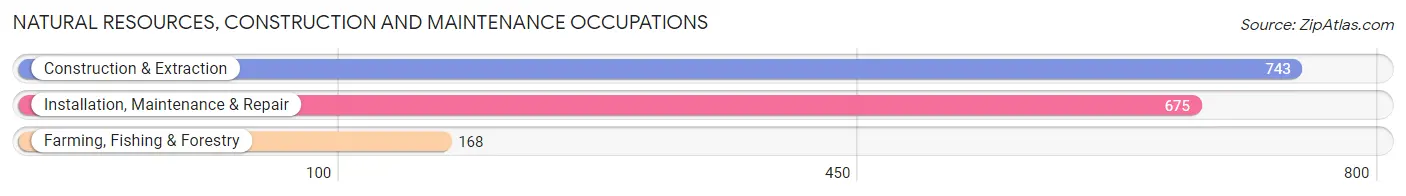 Natural Resources, Construction and Maintenance Occupations in Zip Code 27030