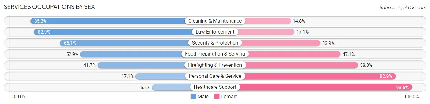 Services Occupations by Sex in Zip Code 27041