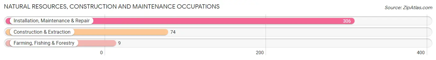 Natural Resources, Construction and Maintenance Occupations in Zip Code 27043