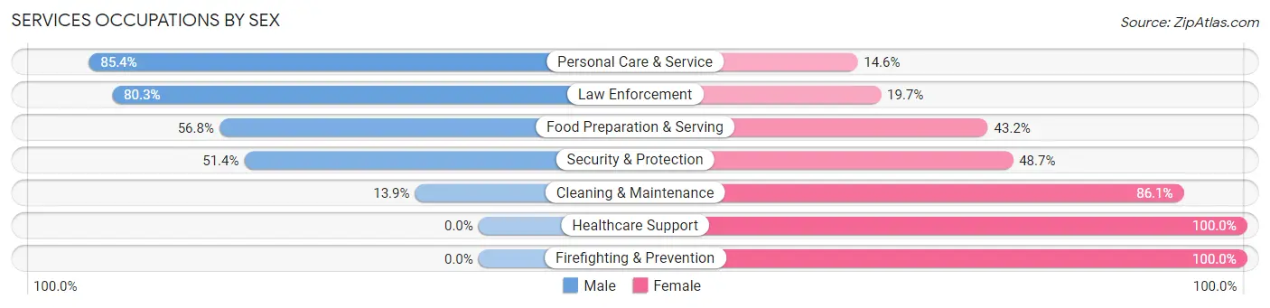 Services Occupations by Sex in Zip Code 27045