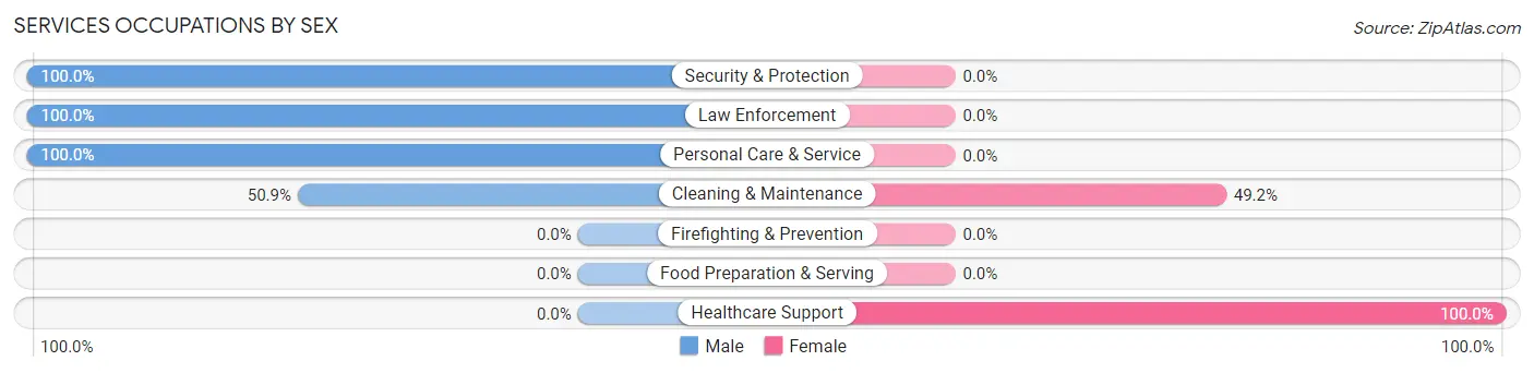 Services Occupations by Sex in Zip Code 27046