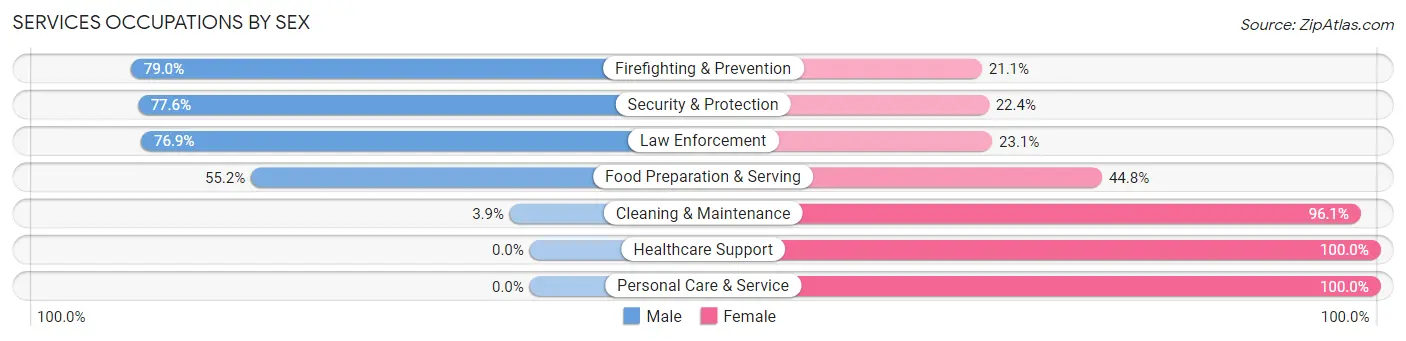 Services Occupations by Sex in Zip Code 27051