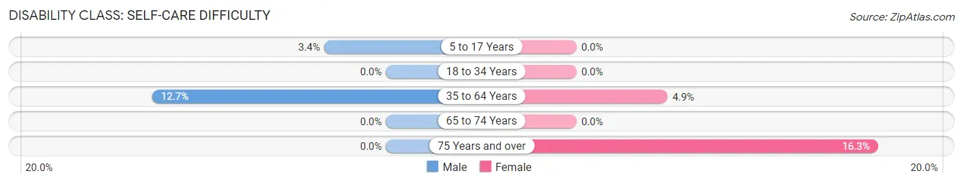 Disability in Zip Code 27053: <span>Self-Care Difficulty</span>