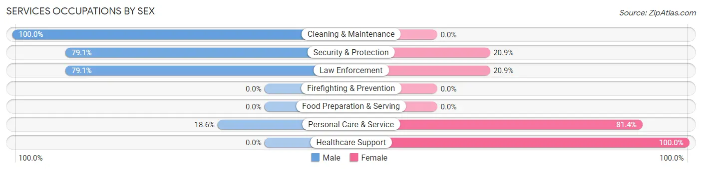 Services Occupations by Sex in Zip Code 27053