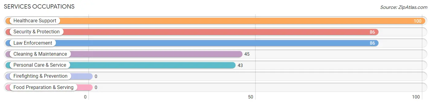 Services Occupations in Zip Code 27053