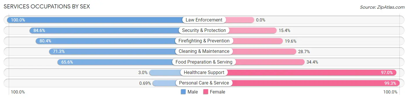 Services Occupations by Sex in Zip Code 27101