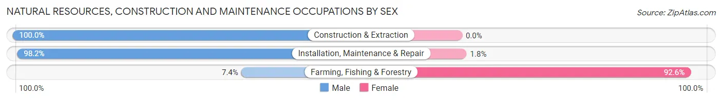Natural Resources, Construction and Maintenance Occupations by Sex in Zip Code 27106
