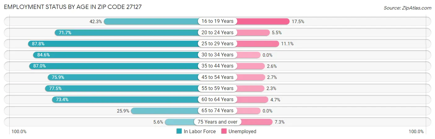 Employment Status by Age in Zip Code 27127