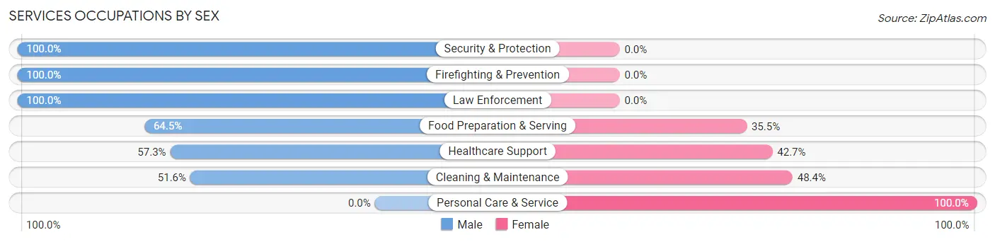 Services Occupations by Sex in Zip Code 27239