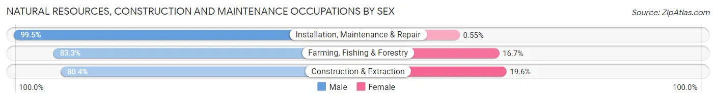 Natural Resources, Construction and Maintenance Occupations by Sex in Zip Code 27302