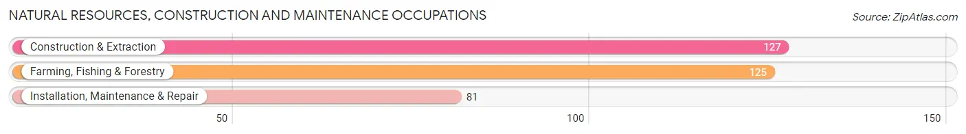 Natural Resources, Construction and Maintenance Occupations in Zip Code 27306