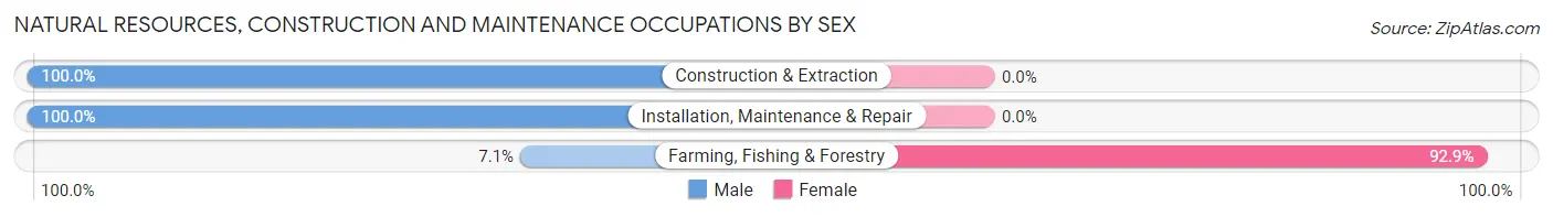 Natural Resources, Construction and Maintenance Occupations by Sex in Zip Code 27313