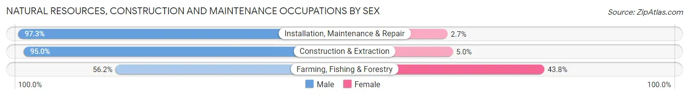 Natural Resources, Construction and Maintenance Occupations by Sex in Zip Code 27332