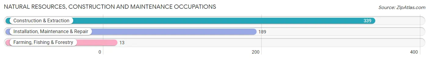 Natural Resources, Construction and Maintenance Occupations in Zip Code 27358