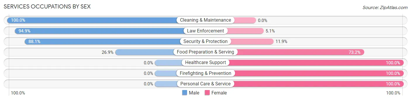 Services Occupations by Sex in Zip Code 27379