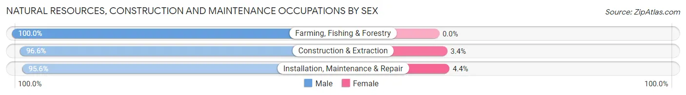 Natural Resources, Construction and Maintenance Occupations by Sex in Zip Code 27407