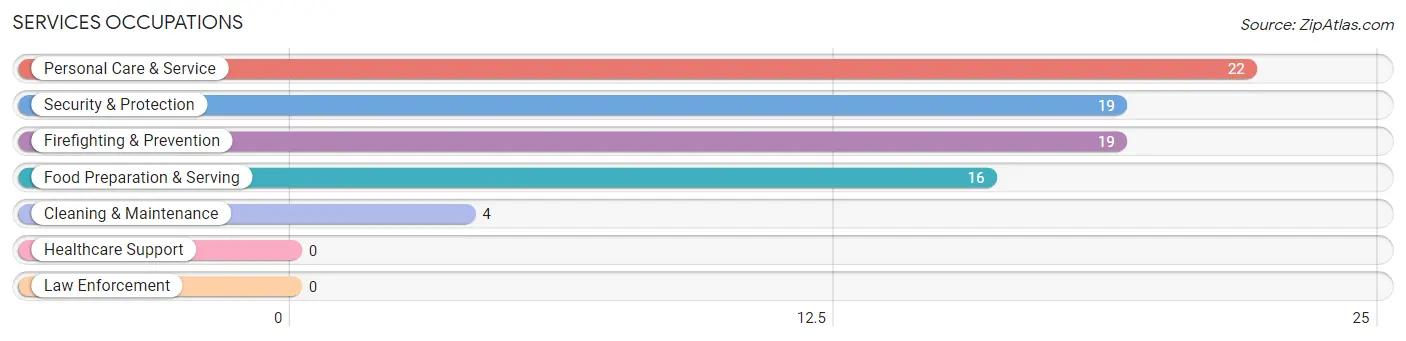 Services Occupations in Zip Code 27411