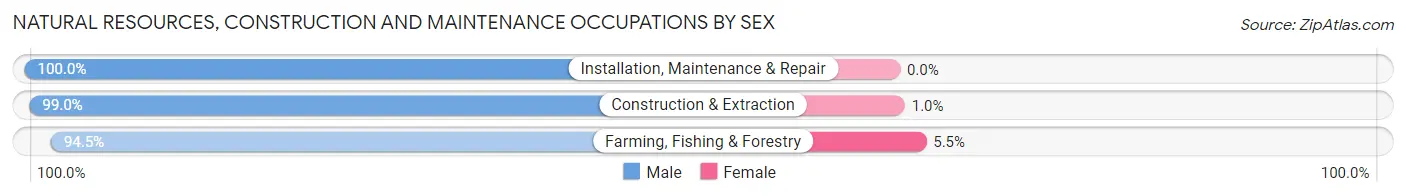 Natural Resources, Construction and Maintenance Occupations by Sex in Zip Code 27501