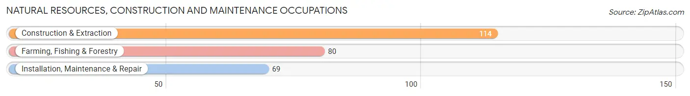 Natural Resources, Construction and Maintenance Occupations in Zip Code 27589