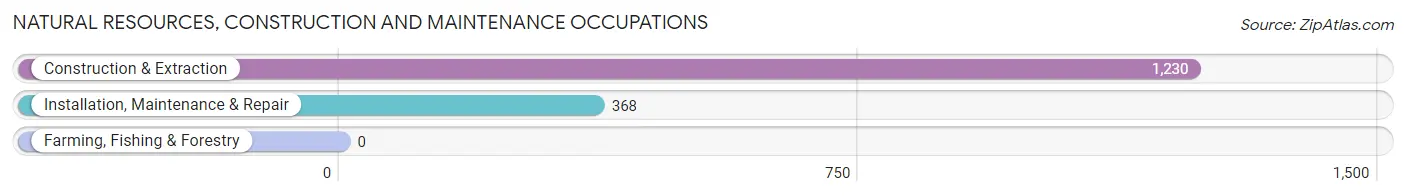 Natural Resources, Construction and Maintenance Occupations in Zip Code 27609