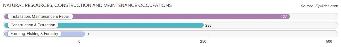 Natural Resources, Construction and Maintenance Occupations in Zip Code 27613